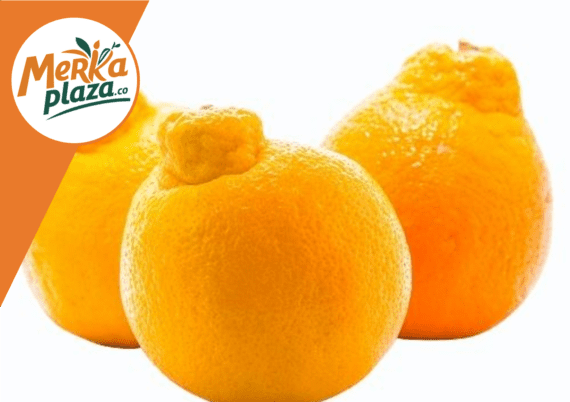 Naranja Ombligona