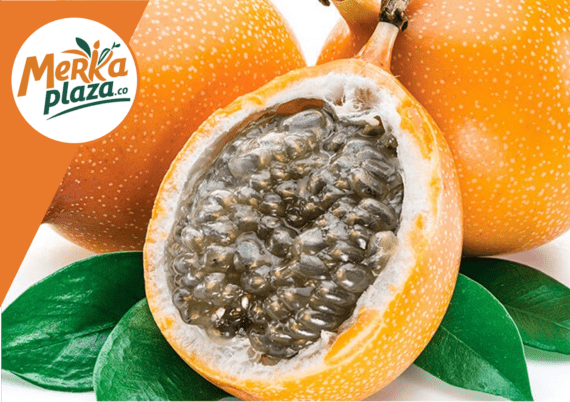 Granadilla